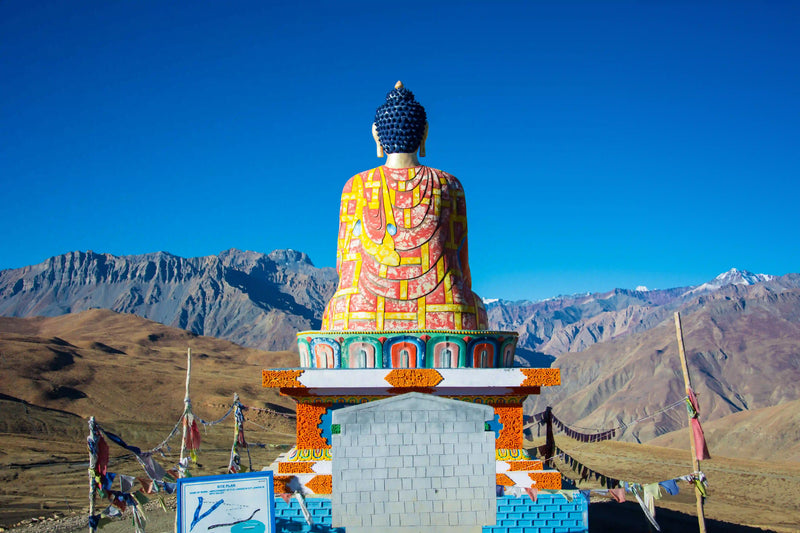 Langza Village, Spiti Valley: A Journey Beneath the Himalayan Buddha