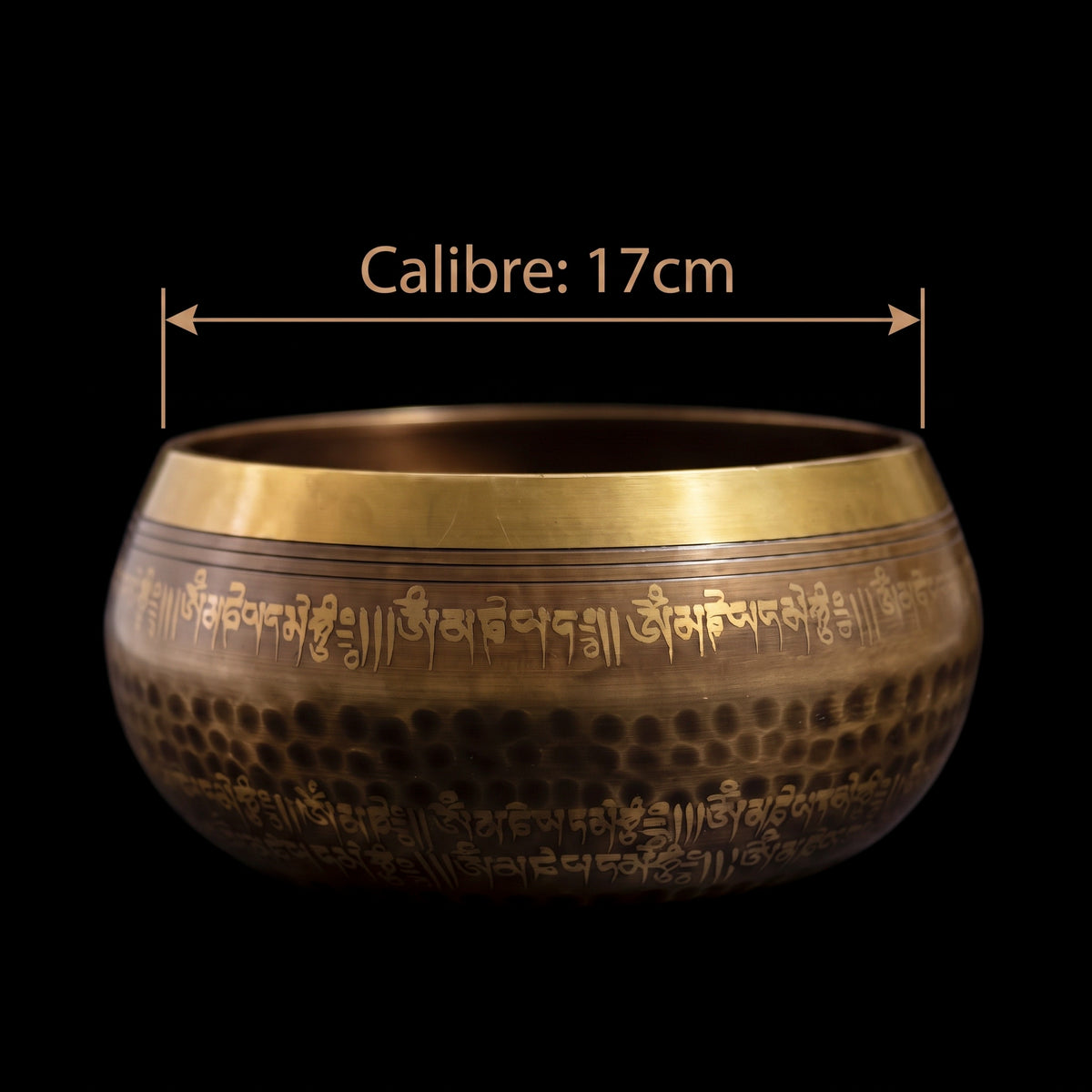 Himalayan Terma Sacred Singing Bowl | Echoes of Inner Peace Handcrafted Bronze Bowl